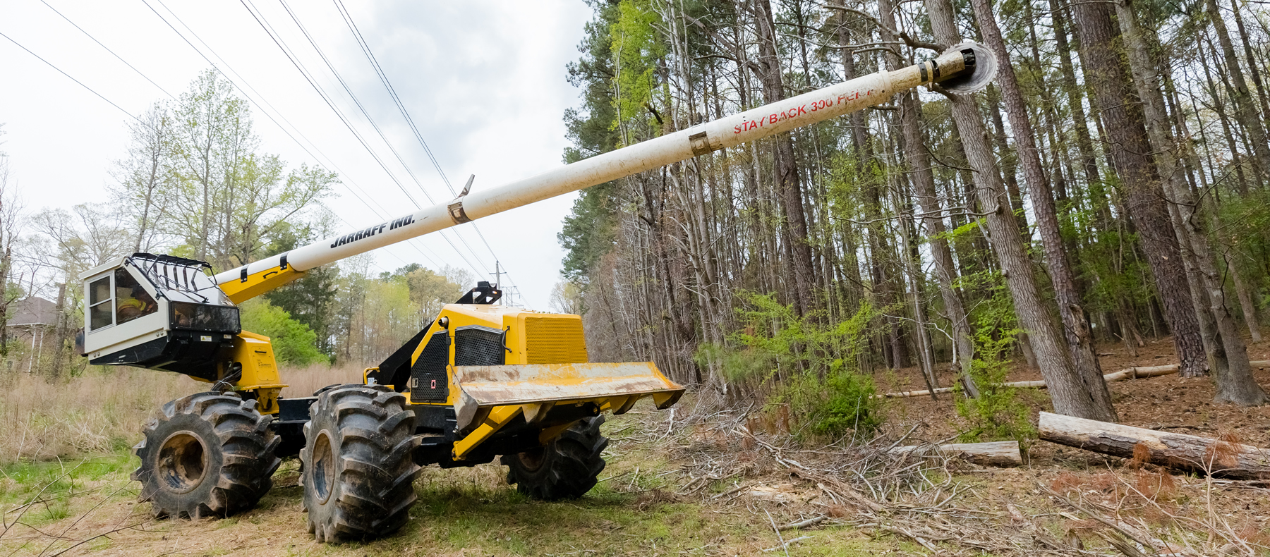 Burford's Tree Services